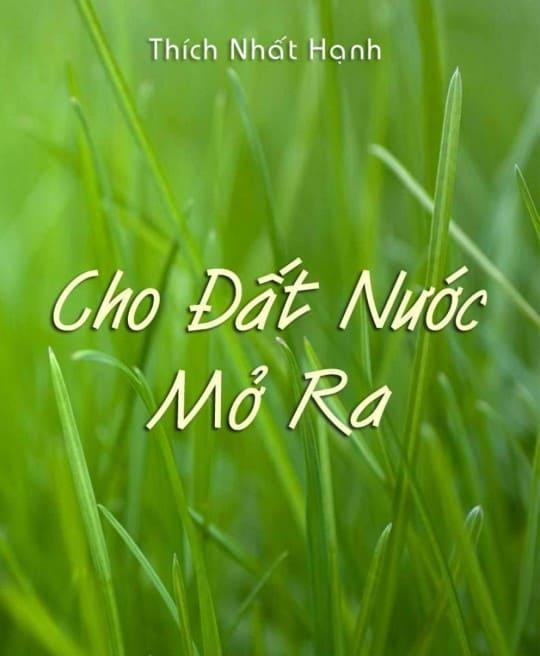 cho-dat-nuoc-mo-ra-6310