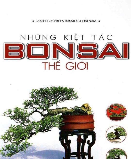 nhung-kiet-tac-bonsai-the-gioi-4844