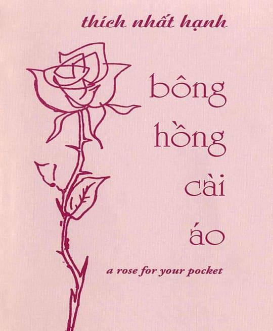 bong-hong-cai-ao-5781