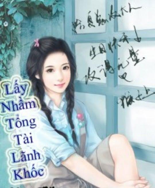 lay-nham-tong-tai-lanh-khoc-2071