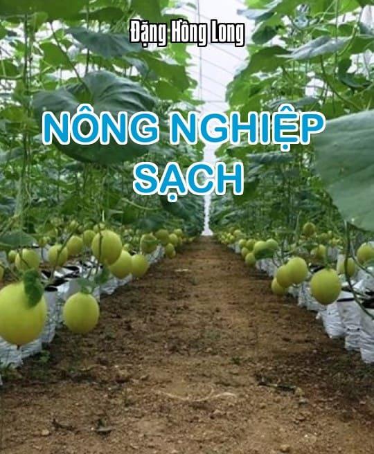 nong-nghiep-sach-5910