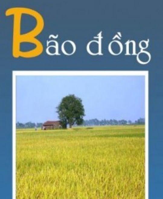 bao-dong-3975