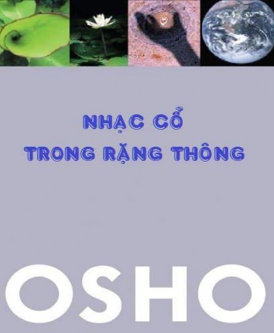 nhac-co-trong-rang-thong-5774