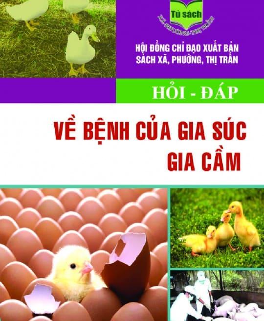 hoi-dap-ve-benh-cua-gia-suc-gia-cam-4883