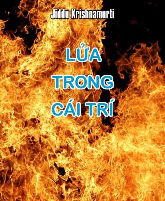 lua-trong-cai-tri-6201