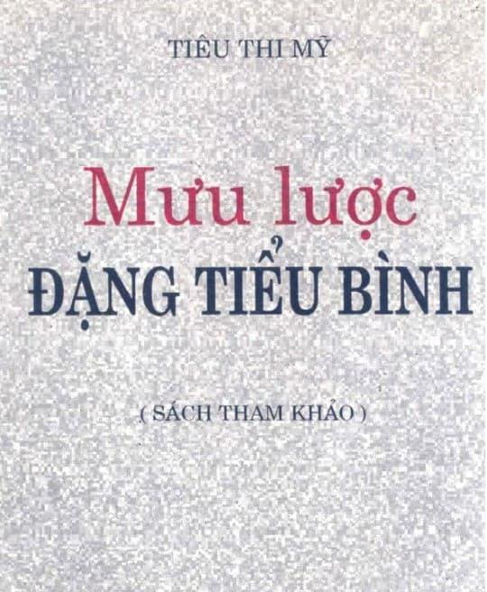 muu-luoc-dang-tieu-binh-4923