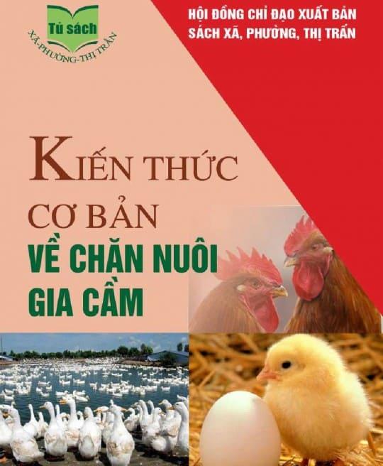 kien-thuc-co-ban-ve-chan-nuoi-gia-cam-4884