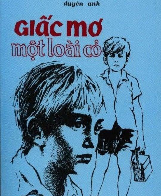 giac-mo-mot-loai-co-2686