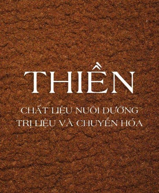 thien-chat-lieu-nuoi-duong-tri-lieu-va-chuyen-hoa-6266