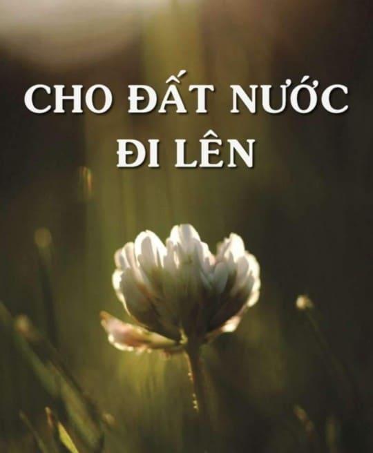 cho-dat-nuoc-di-len-6311