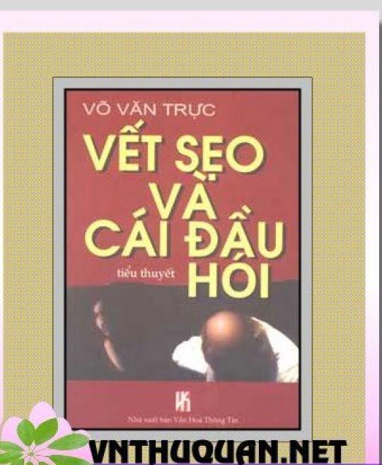 vet-seo-va-cai-dau-hoi-700