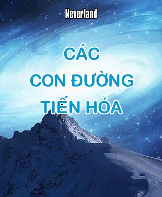 cac-con-duong-tien-hoa-6231