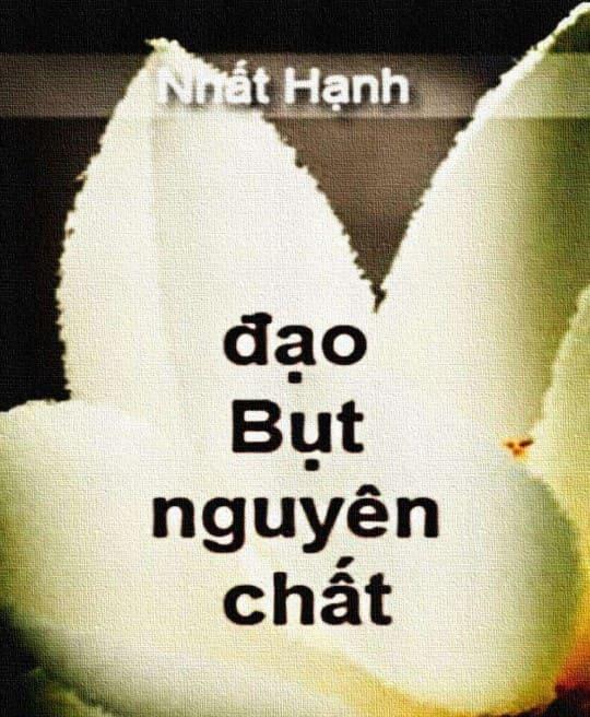 dao-but-nguyen-chat-6305