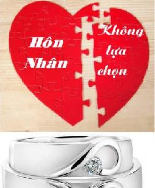 hon-nhan-khong-lua-chon-2394