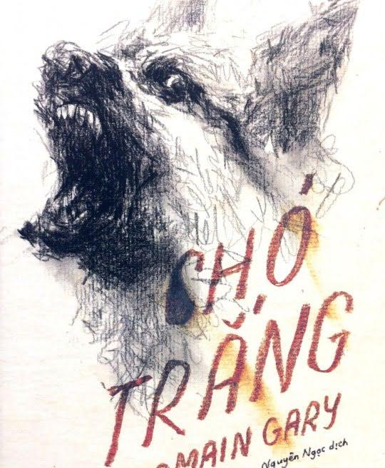 cho-trang-3451