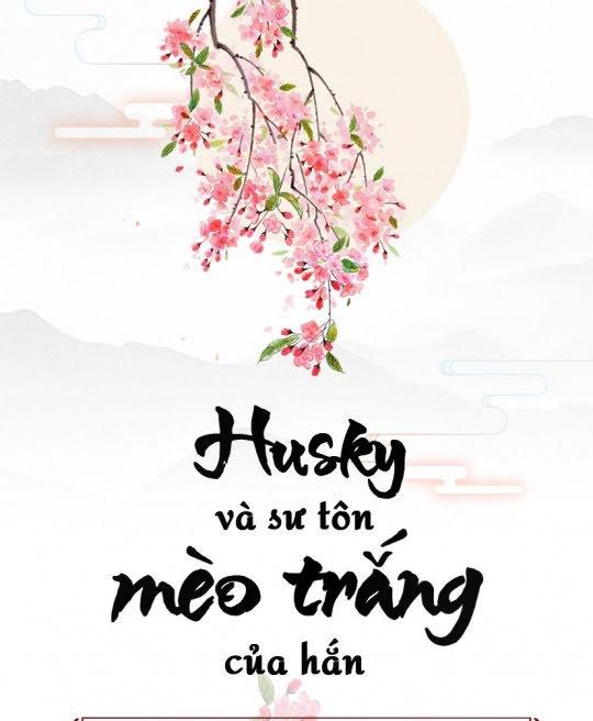 husky-va-su-ton-meo-trang-cua-han-2368