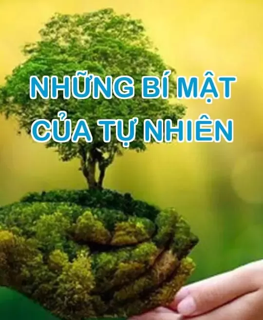 NHỮNG BÍ MẬT CỦA TỰ NHIÊN