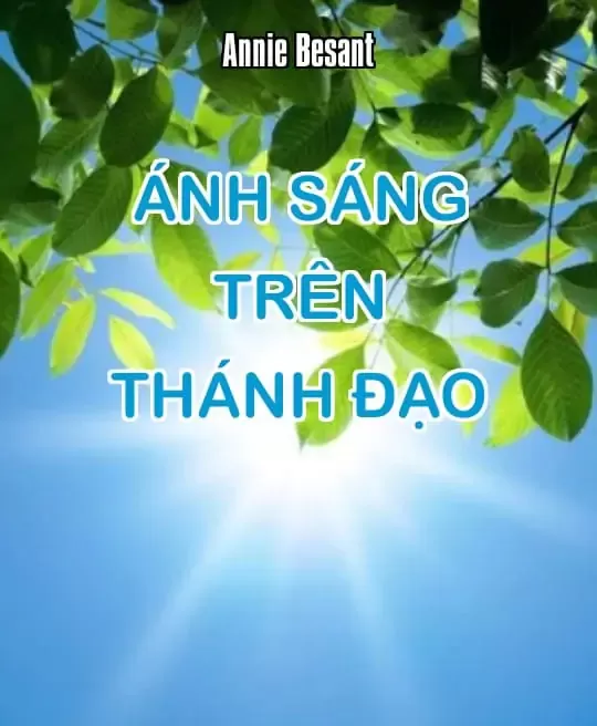 ÁNH SÁNG TRÊN THÁNH ĐẠO