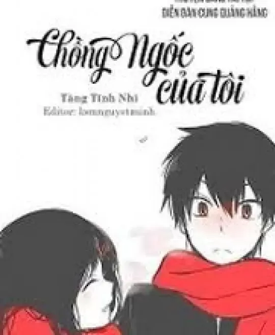 CHỒNG NGỐC CỦA TÔI