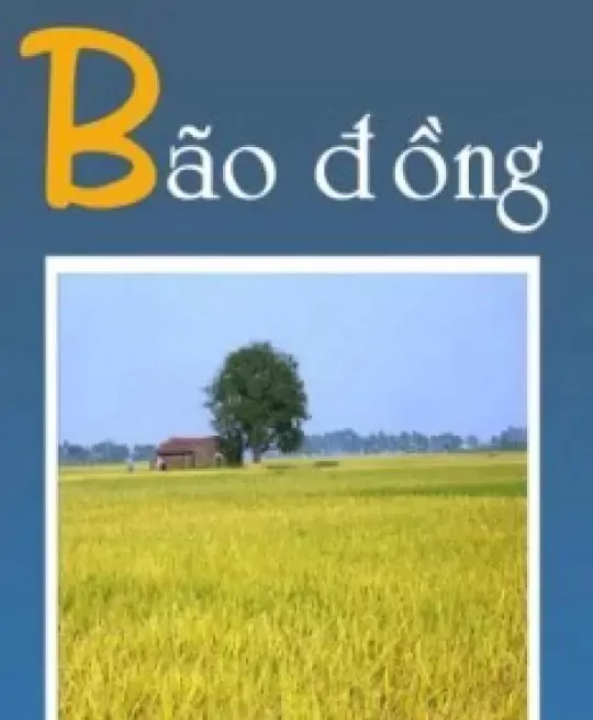 BÃO ĐỒNG