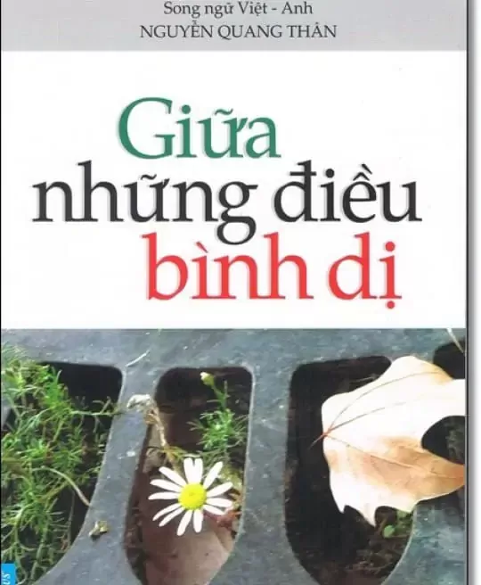 GIỮA NHỮNG ĐIỀU BÌNH DỊ