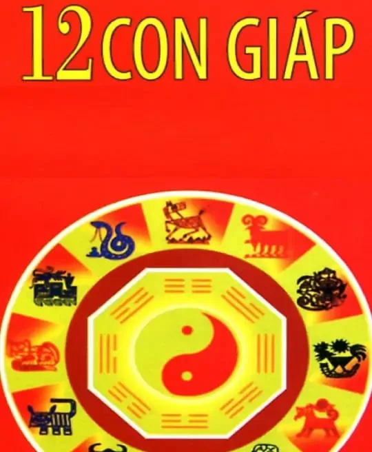 TỬ VI 12 CON GIÁP