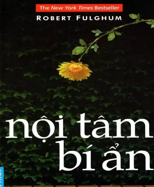 NỘI TÂM BÍ ẨN