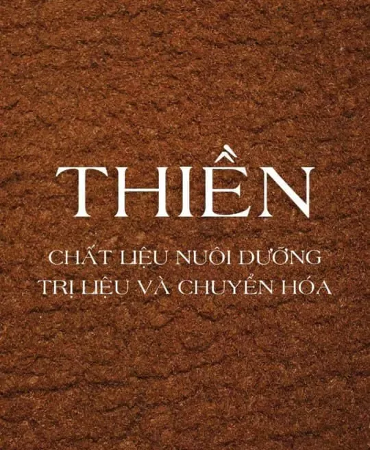 THIỀN - CHẤT LIỆU NUÔI DƯỠNG TRỊ LIỆU VÀ CHUYỂN HÓA