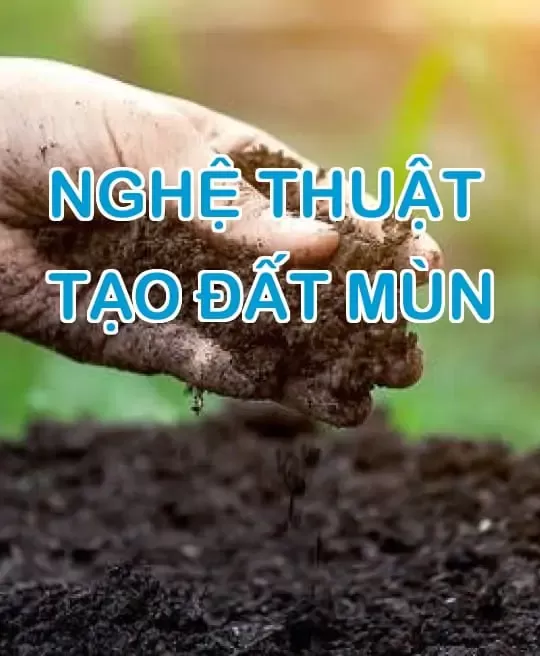 NGHỆ THUẬT TẠO ĐẤT MÙN