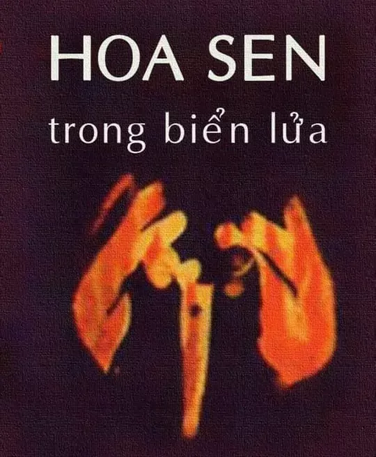 HOA SEN TRONG BIỂN LỬA