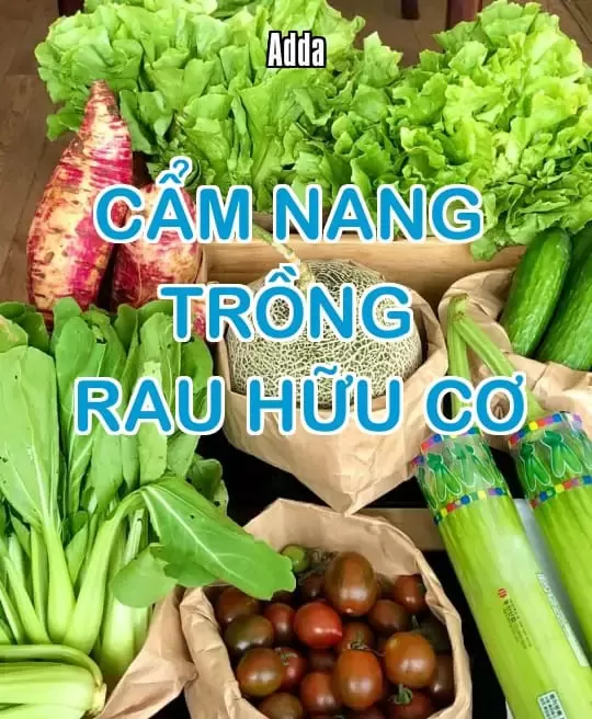 CẨM NANG TRỒNG RAU HỮU CƠ