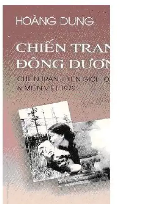 CHIẾN TRANH ĐÔNG DƯƠNG 3