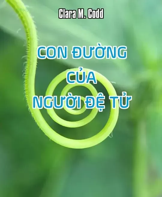 CON ĐƯỜNG CỦA NGƯỜI ĐỆ TỬ